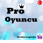 PRO OYUNCU