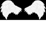 White wing squad