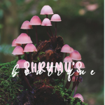 shrumu's boutique