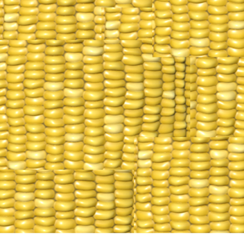 corn
