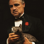 The Kitten Crime Family
