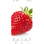 Strawberry squad and other fruit