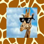 Giraffe fans group
