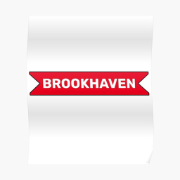 (ACS) Brookhaven RP 1vs1