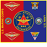 USM Navy Air Wings