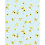 Sunny’s sunflower group
