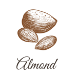 Almond Clothes