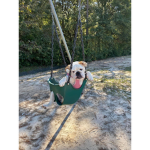 Hi!!!!!!!!!!!!!!!!!!!!!!!!!!!!!!