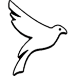 Bird's Games