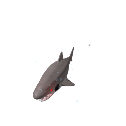 Parotodus