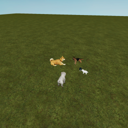 Dog Hangout