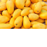 mango = a life