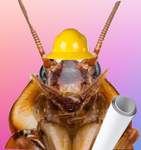 roaches Studios
