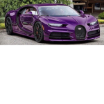 PURPLE ONLY