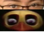 pela papas