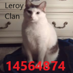 Leroy Clan