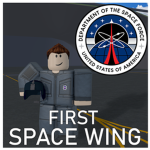 - 1st Space Wing -