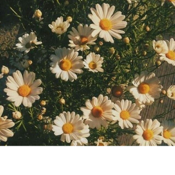 :)