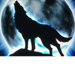The wild wild wolves