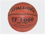 The Roblox National Basketball Association
