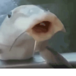 Fiskar
