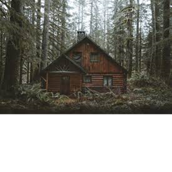 the cabin