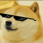 Doge Centeral