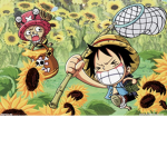 Zoro - Grupo