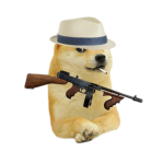 s a 1 n t
