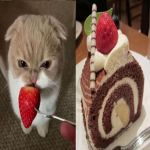 strawbrry_matchaa