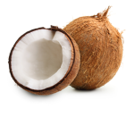 CoconutGo