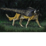 TheCheetahFalcon Fan Group