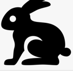 Mini bunny group