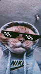 Tlit3000 Group for ROBUX