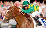Horse Racing