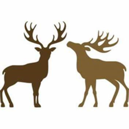 The hunters Forest [Beta Release]