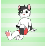 Offical FancyFelinePlayz Group