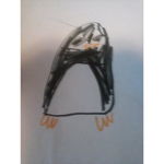 Penguin fan squad!!!!