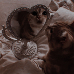 everyones mood<3