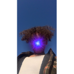 Abcforcash1