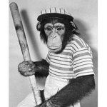 Rhinestone Monkeys
