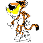 Chestar The Cheetah Colt