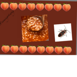 BAKED bean bugs