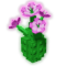 Melon Flower produce