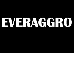EverAggro [ALPHA]