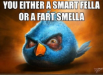 diarrhea games