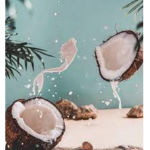 Coconut crackers_ palm trees