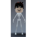 Roblox the pro5