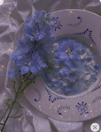*Blue_Røses*