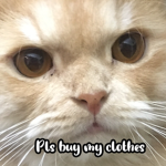 Lisa's clothing is horrible